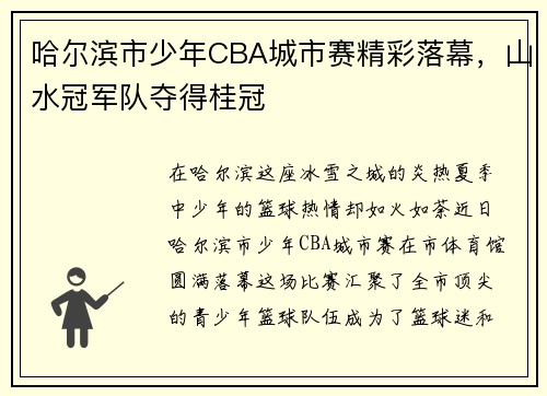 哈尔滨市少年CBA城市赛精彩落幕，山水冠军队夺得桂冠
