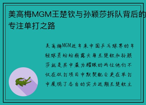 美高梅MGM王楚钦与孙颖莎拆队背后的专注单打之路